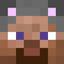 Player's avatar